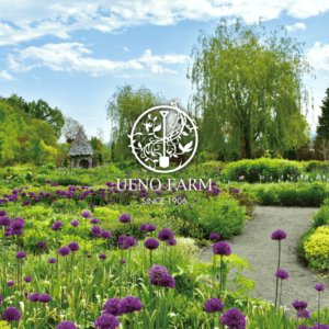 Ueno Farm