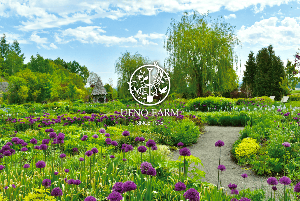 Ueno Farm